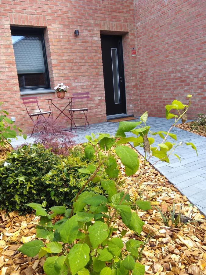Les Agapanthes Bed & Breakfast Camphin-en-Pevele Exterior photo